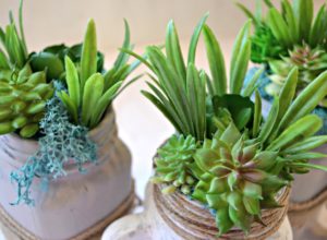 Mason Jar DIY Succulents