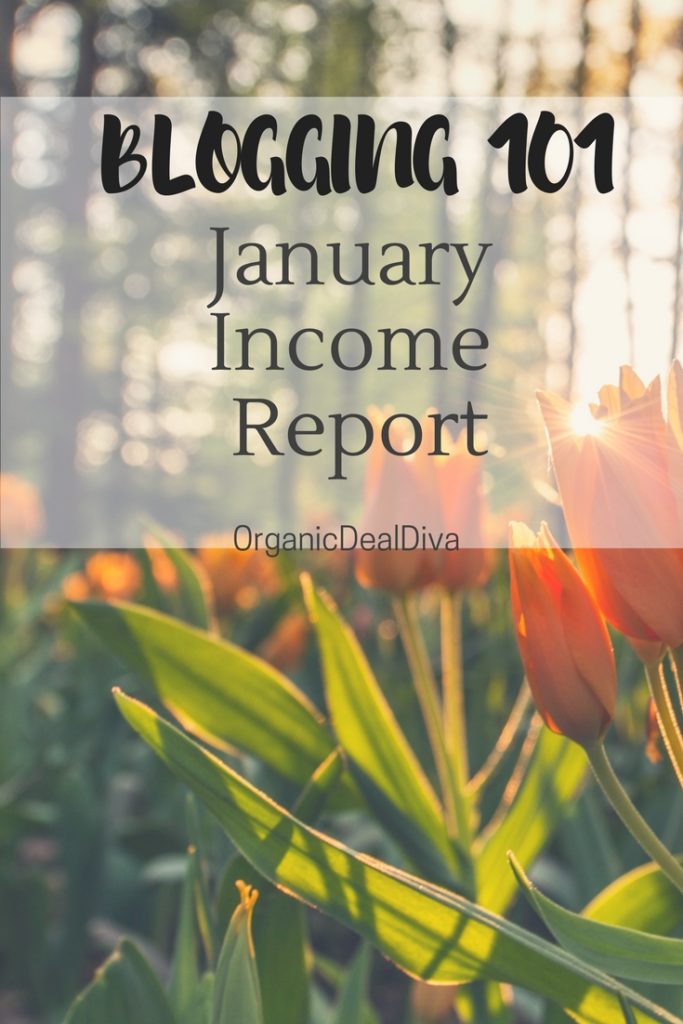 January Blogging Income Report