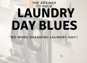 The AnswerTo Laundry Day Blues