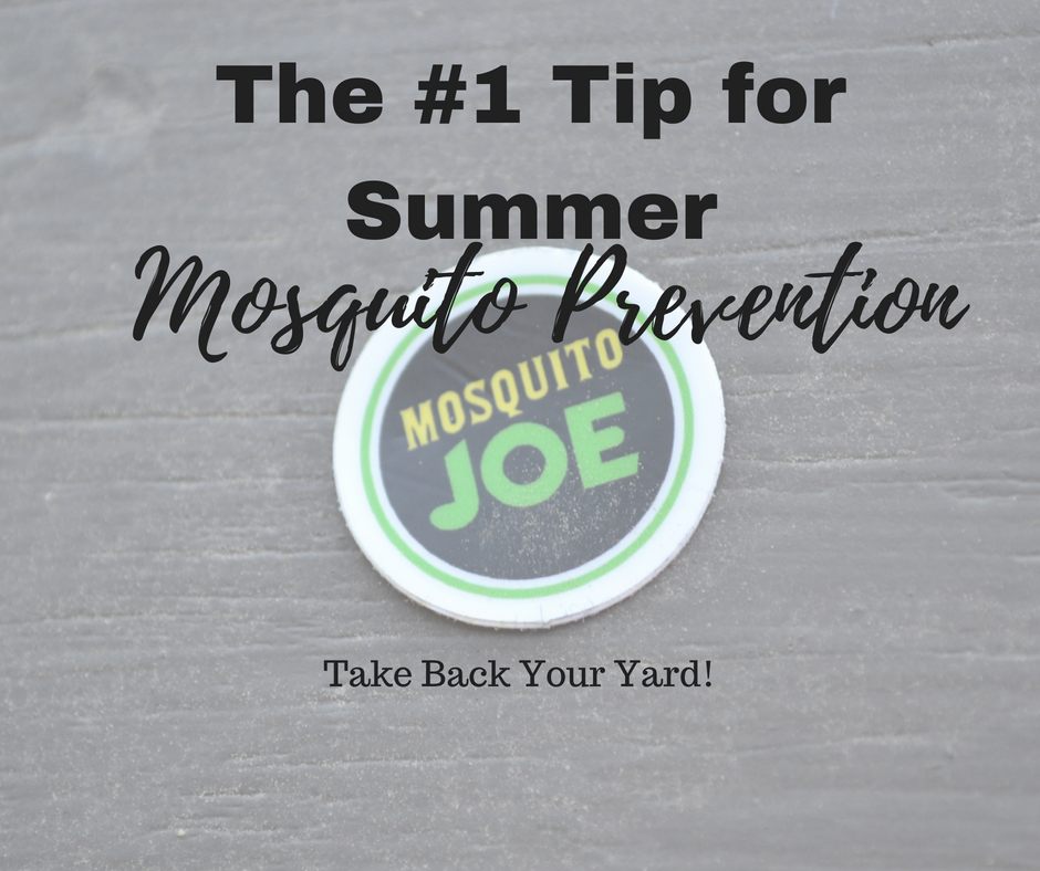 #1 Tip for Summer Mosquito Prevention