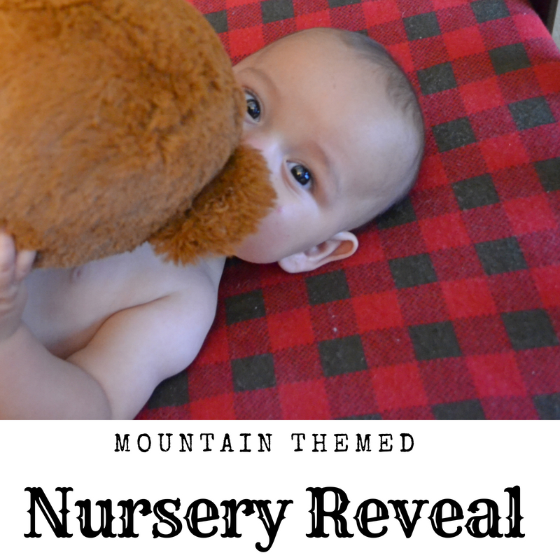 Mountain Themed Nursery Reveal