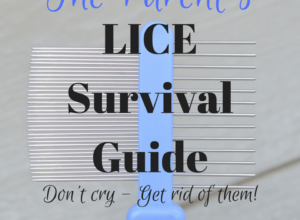 A Parent's LICE Survival Guide