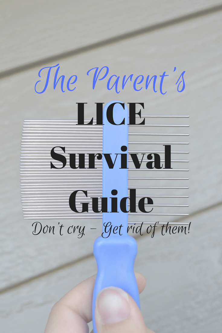 A Parent's LICE Survival Guide