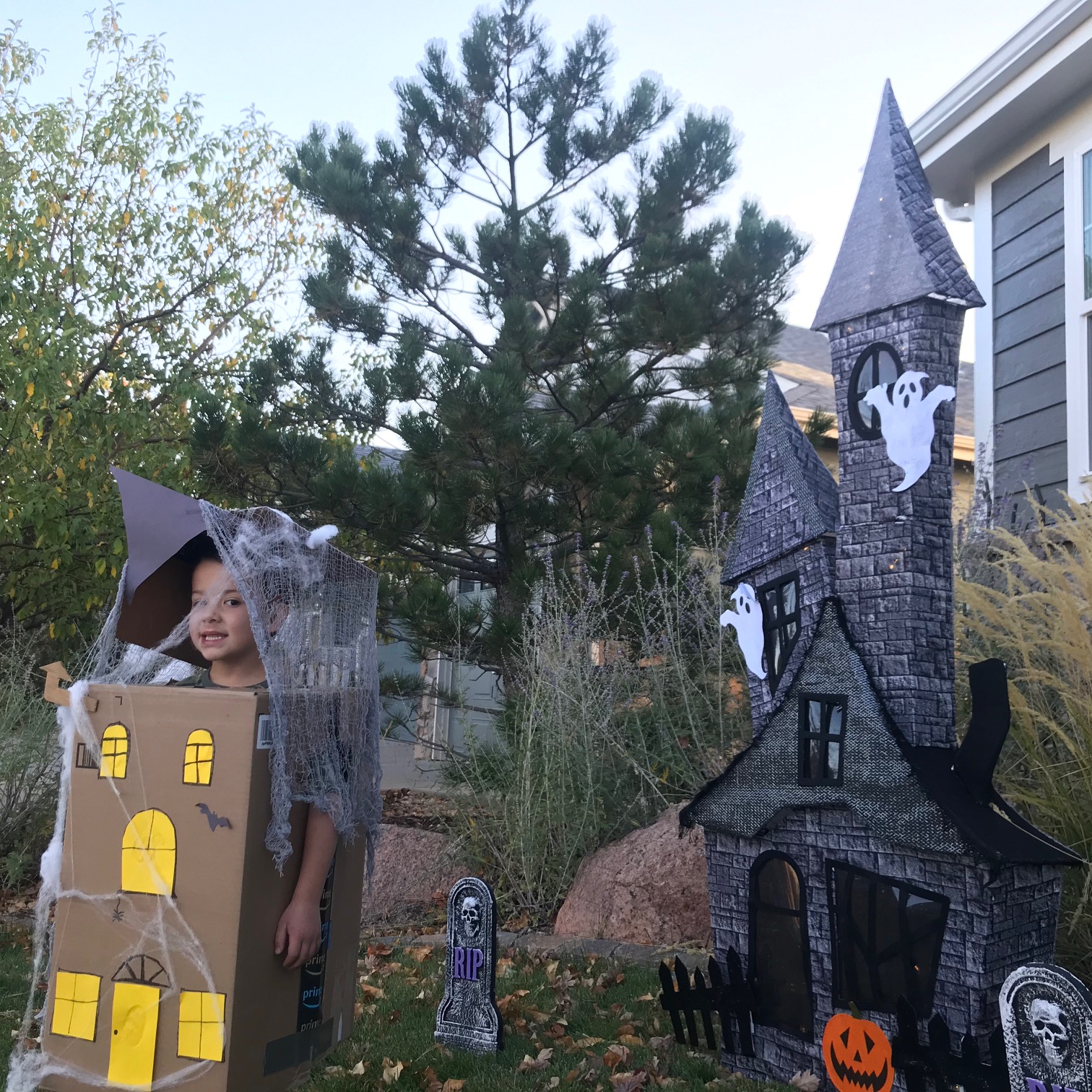 Halloween Box Costume Haunted House