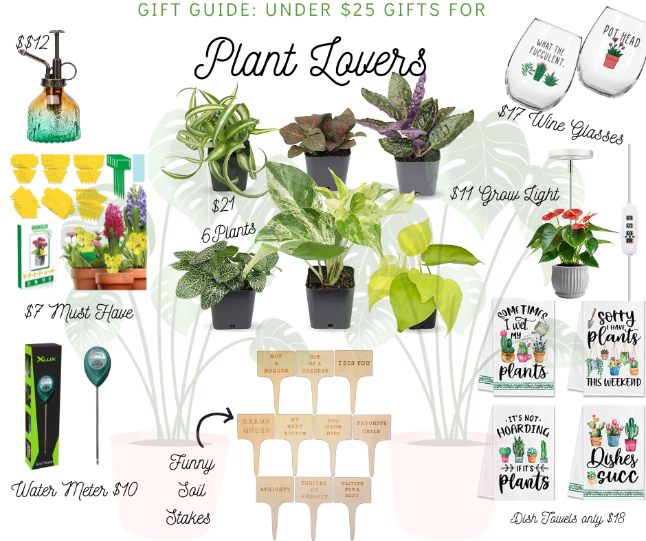 Gift Guide for Plant Lovers under $25 each