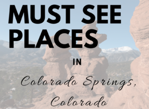 Top 5 Family Friendly Colorado Springs