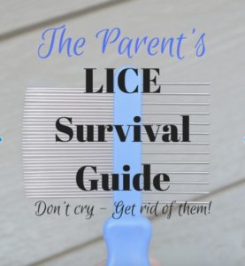 The Parent's Lice Survival Guide